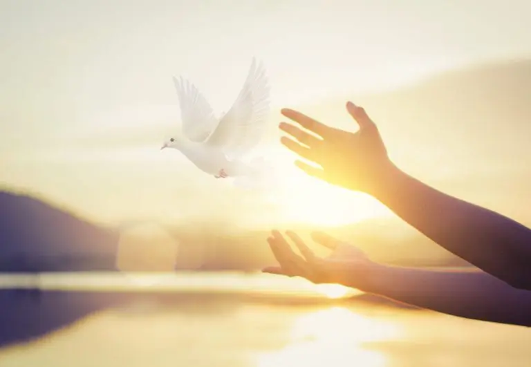 Holy Communion chalice and bread – worship in Hampsthwaite, Felliscliffe, Killinghall and Birstwith